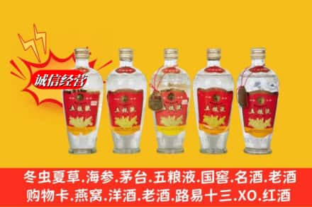 凉山州昭觉回收老五粮液